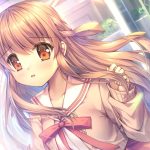 レス33番のサムネイル画像