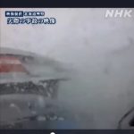 レス7番のサムネイル画像
