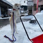 レス1番のサムネイル画像