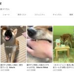 レス1番のサムネイル画像