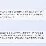 レス1番のサムネイル画像