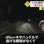 レス1番のサムネイル画像