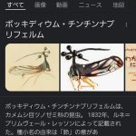 レス1番のサムネイル画像