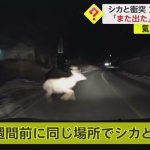 レス1番のサムネイル画像
