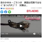 レス1番のサムネイル画像