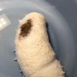 レス1番のサムネイル画像