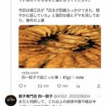 レス1番のサムネイル画像