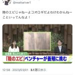 レス1番のサムネイル画像