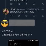 レス31番のサムネイル画像