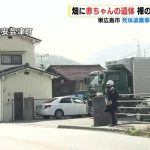 レス5番のサムネイル画像