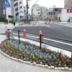 レス39番のサムネイル画像