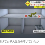 レス1番のサムネイル画像