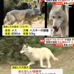 レス1番のサムネイル画像