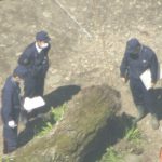 レス2番のサムネイル画像