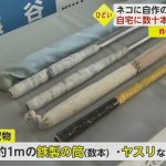レス1番のサムネイル画像