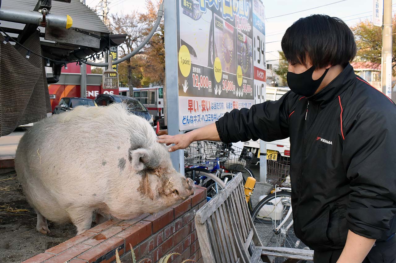 サムネイル