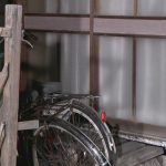 レス4番のサムネイル画像