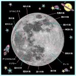 レス19番のサムネイル画像