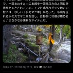 レス1番のサムネイル画像