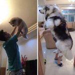 レス1番のサムネイル画像