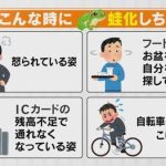レス1番のサムネイル画像