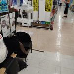 レス1番のサムネイル画像