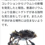 レス1番のサムネイル画像