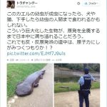 レス1番のサムネイル画像