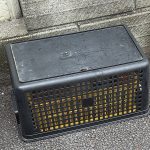 レス1番のサムネイル画像