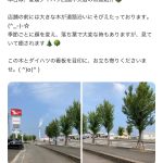 レス1番のサムネイル画像