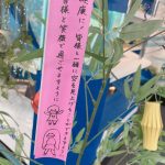 レス7番のサムネイル画像