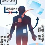 レス2番のサムネイル画像