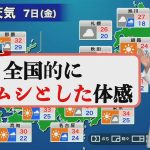 レス30番のサムネイル画像