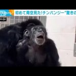 レス1番のサムネイル画像