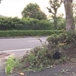 レス1番のサムネイル画像