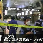 レス1番のサムネイル画像