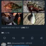 レス1番のサムネイル画像