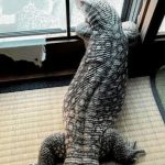 レス3番のサムネイル画像