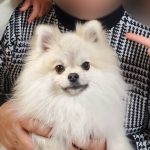 レス2番のサムネイル画像