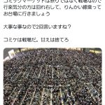 レス1番のサムネイル画像