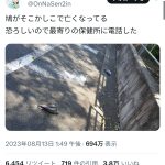 レス1番のサムネイル画像