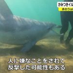 レス1番のサムネイル画像
