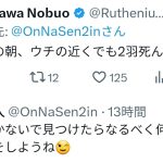レス1番のサムネイル画像
