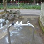 レス1番のサムネイル画像