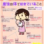 レス6番のサムネイル画像