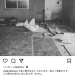 レス2番のサムネイル画像