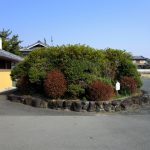 レス2番のサムネイル画像