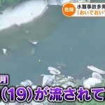 レス1番のサムネイル画像