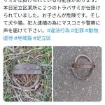 レス1番のサムネイル画像