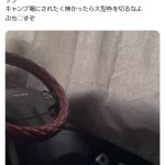 レス1番のサムネイル画像